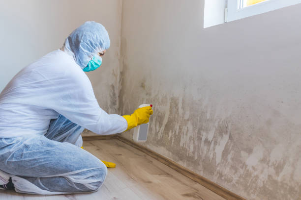 Licensed Crawl Space Mold Removal service in Bergheim, TX - WQB Mold Removal