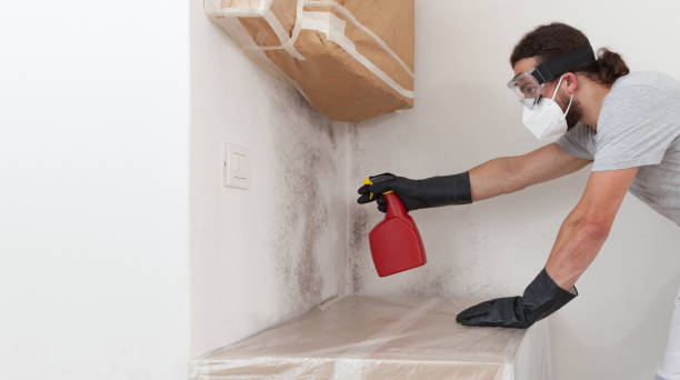 Professional Crawl Space Mold Removal technician working in Bergheim, TX